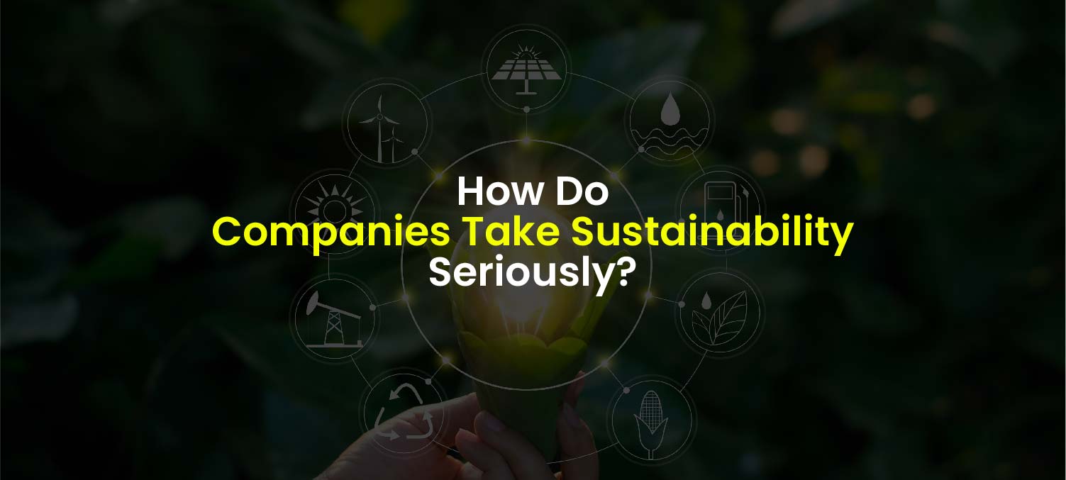 companies sustainability